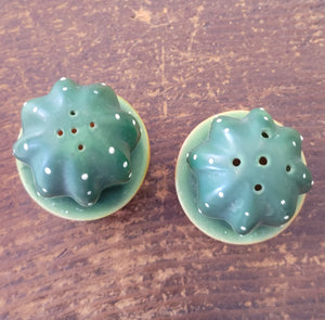 Cactus Salt & Pepper Shakers Occupied Japan