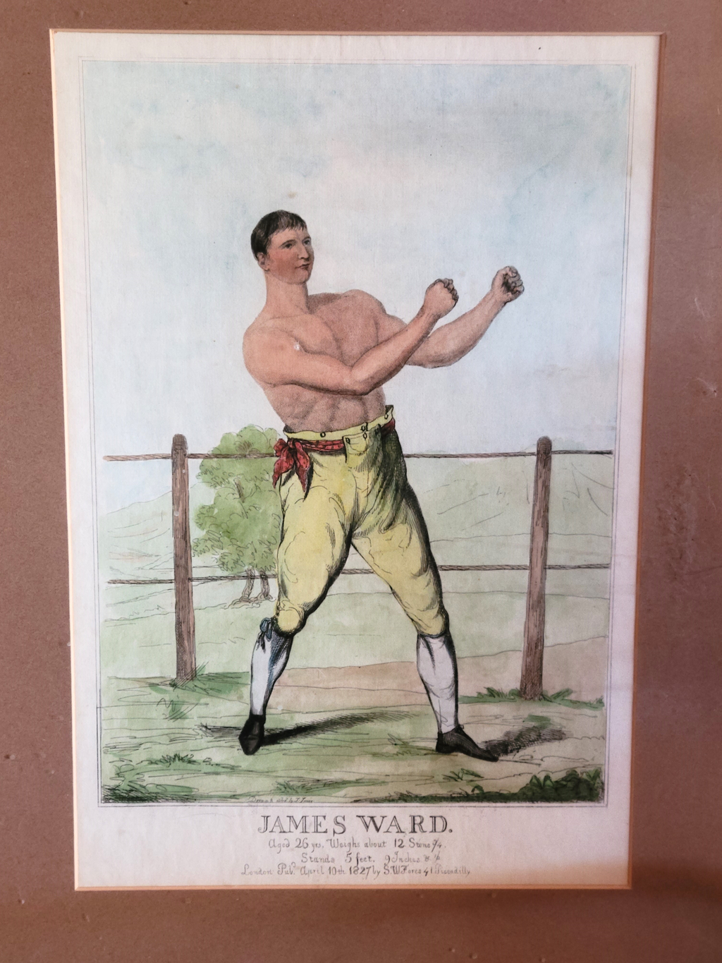 Etching of Boxer / Pugilist James Ward 19th Century