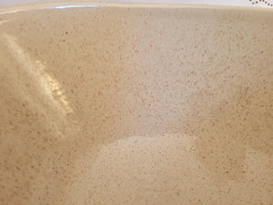 Red Wing Mid-century Speckle-glazed Bowl