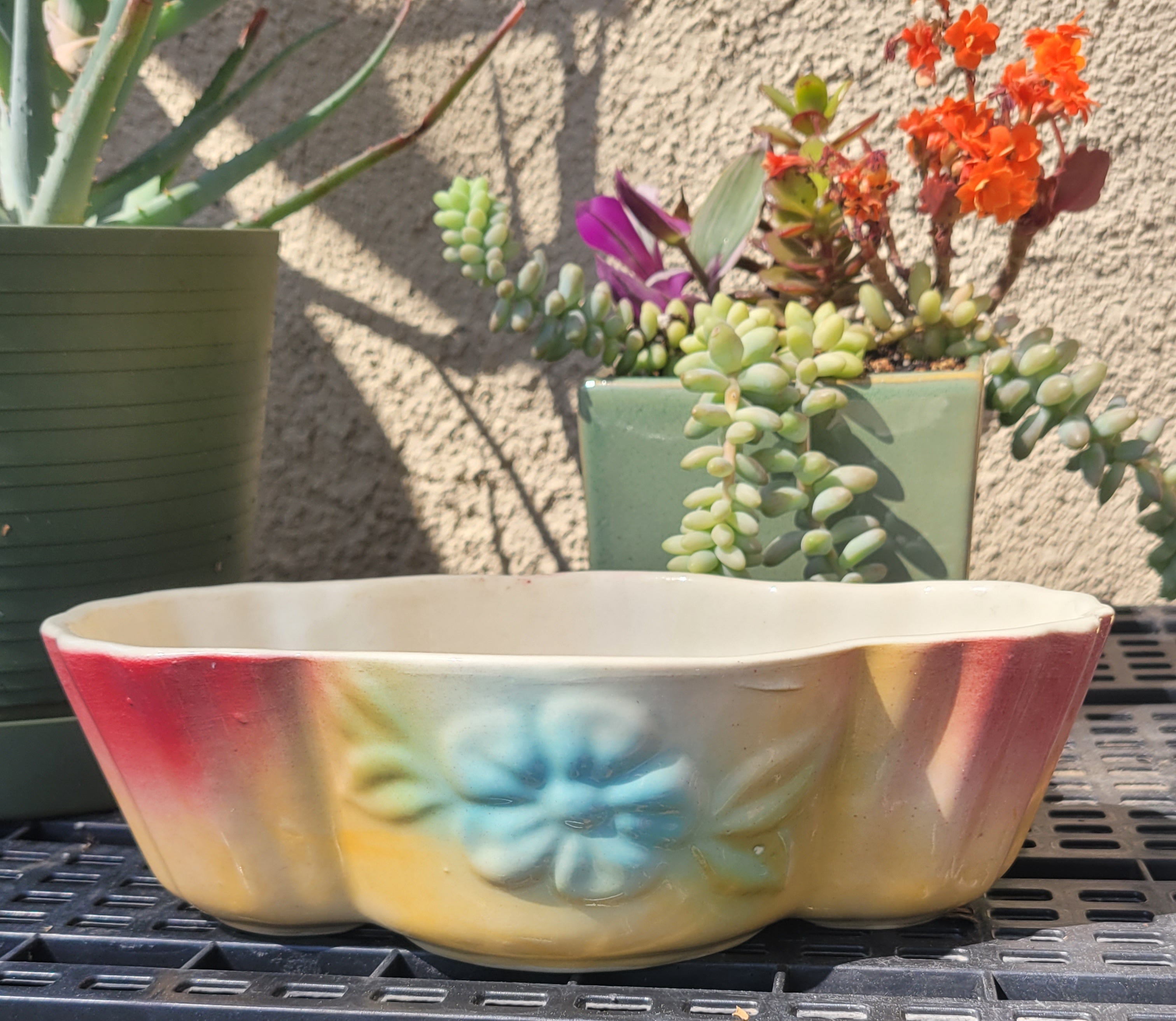 mid century succulent planter Mid-century Oval Spring Succulent Planter – Good Find Stores