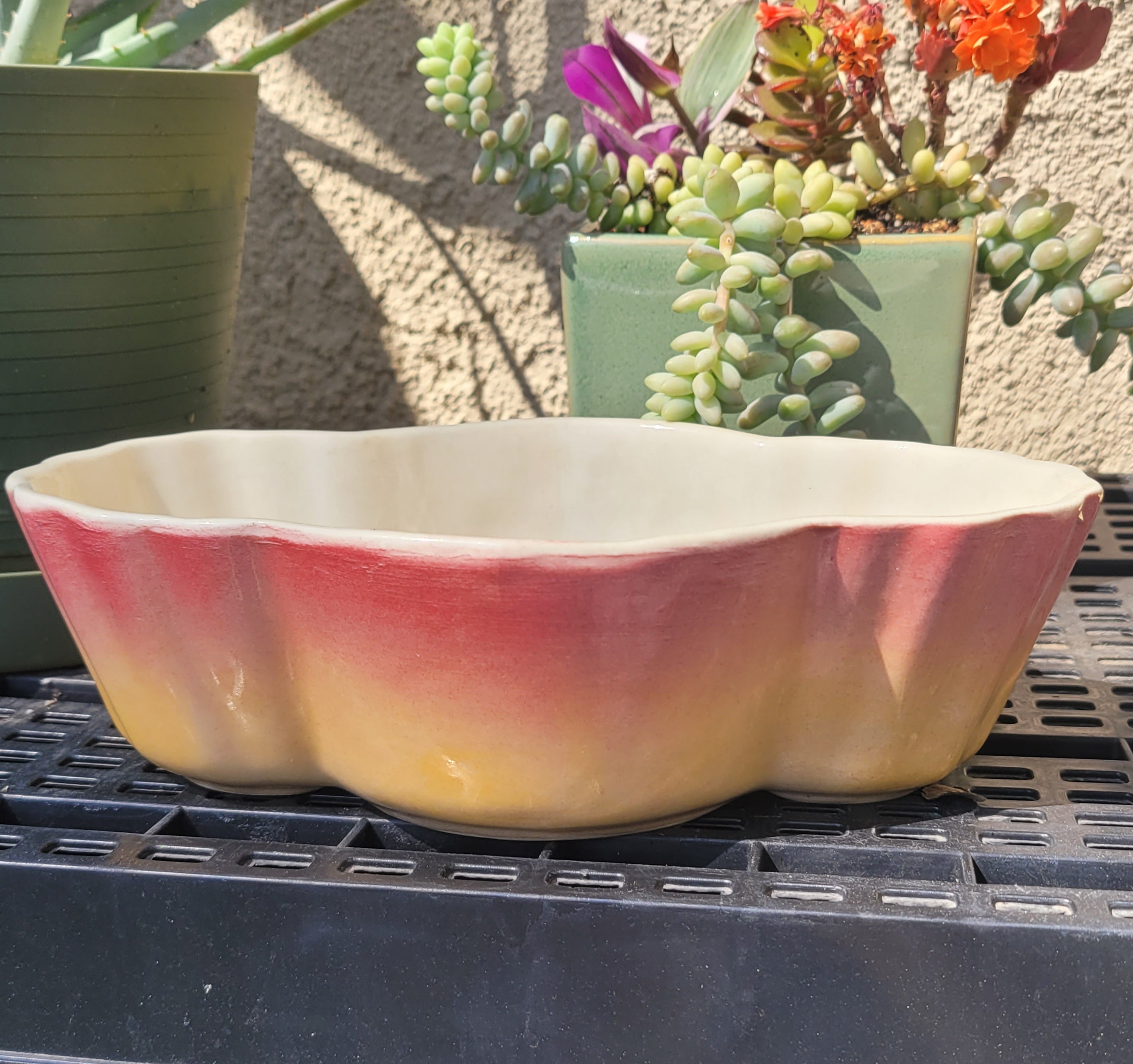 mid century succulent planter Mid-century Oval Spring Succulent Planter – Good Find Stores