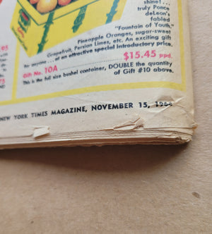 New York Times Magazine November 15, 1964